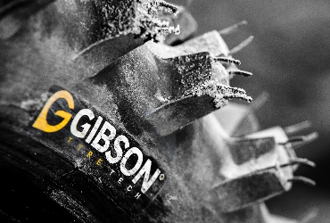 Pneumatico Gibson